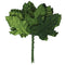 Oak Flower Velvet Leaves